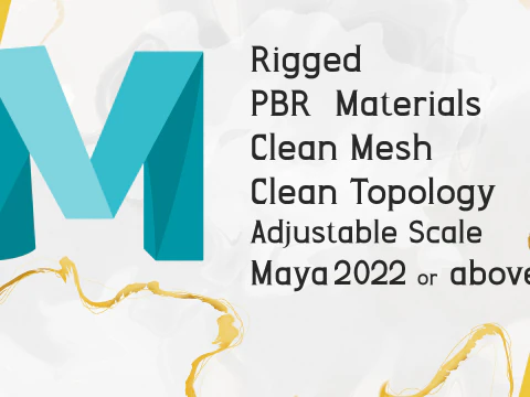 काल्पनिक पोशाक में समुद्री डाकू शैली वाली महिला नायक मध्यकालीन योद्धा 3D मॉडल
