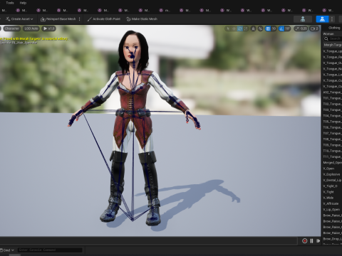 Pirate Stylized Female Hero Medieval Warrior in Fantasy Costume Modelo 3D