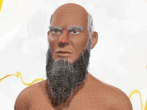 Bald and bearded elderly man in sweater 3D 模型