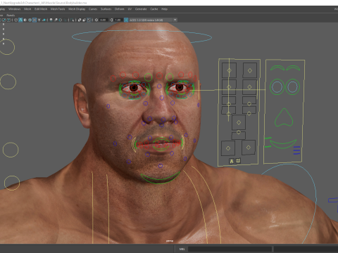 Realistic Male Bodybuilder 3D HQ Low-poly 3D Модель