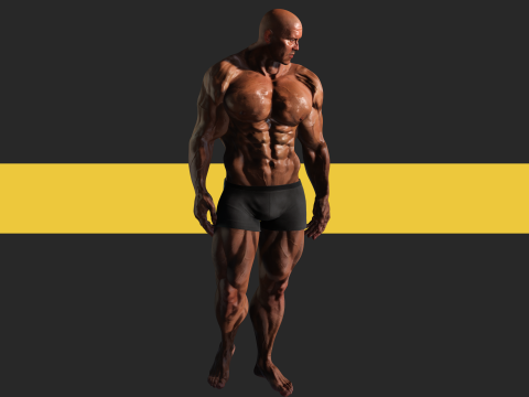 Realistic Male Bodybuilder 3D HQ Low-poly 3D Модель