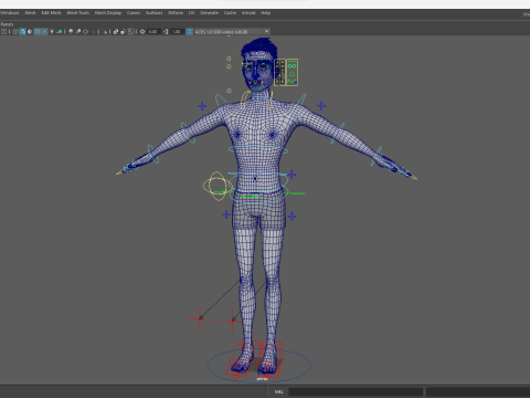 Free Stylized Cartoon Male Rigged Toon Young Man Cartoon 3D 3D मॉडल
