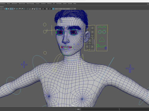 Free Stylized Cartoon Male Rigged Toon Young Man Cartoon 3D 3D मॉडल