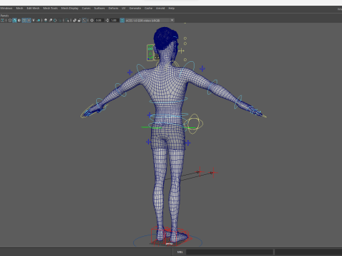 Free Stylized Cartoon Male Rigged Toon Young Man Cartoon 3D 3D मॉडल