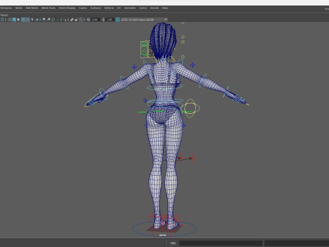 Free Stylized Cartoon Woman Woman with Perfect Topology 3Dモデル