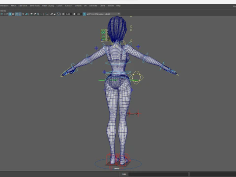 Free Stylized Cartoon Woman Woman with Perfect Topology 3D Model