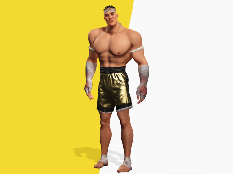 Strong Warrior Rigged Toon Fighter Martial Modelo 3D