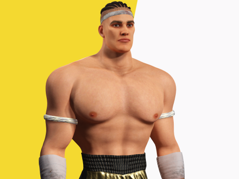 Strong Warrior Rigged Toon Fighter Martial Modelo 3D