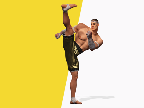 Strong Warrior Rigged Toon Fighter Martial Modelo 3D