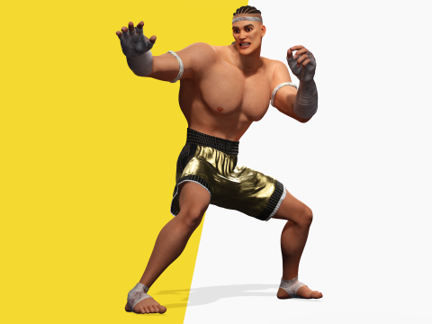 Strong Warrior Rigged Toon Fighter Martial Modelo 3D