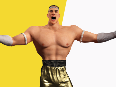 Strong Warrior Rigged Toon Fighter Martial Modelo 3D