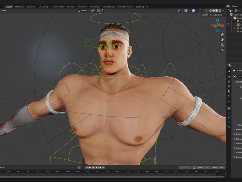Strong Warrior Rigged Toon Fighter Martial Modelo 3D