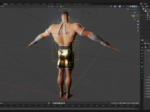 Strong Warrior Rigged Toon Fighter Martial Modelo 3D
