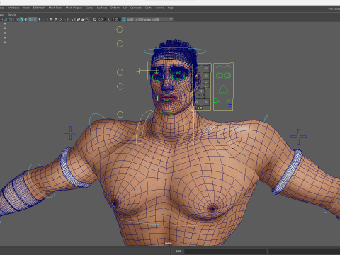 Strong Warrior Rigged Toon Fighter Martial Modelo 3D