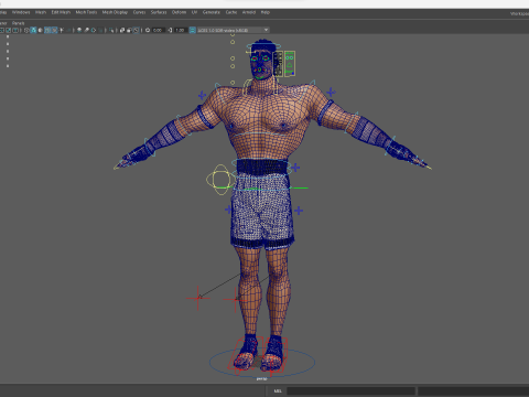 Strong Warrior Rigged Toon Fighter Martial Modelo 3D