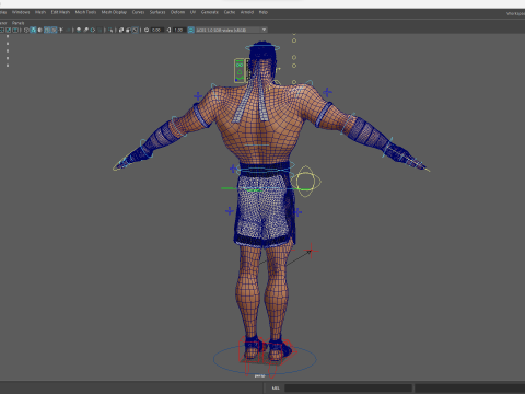 Strong Warrior Rigged Toon Fighter Martial Modelo 3D