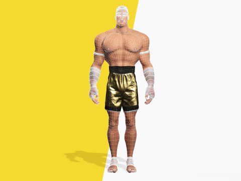 Strong Warrior Rigged Toon Fighter Martial Modelo 3D