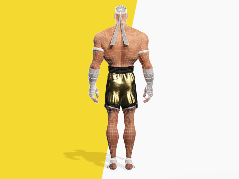 Strong Warrior Rigged Toon Fighter Martial Modelo 3D