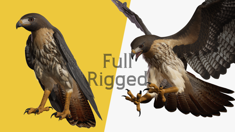 Stunning of a Majestic Falcon Wildlife Enthusiasts Low-poly 3D Model .c4d .max .obj .3ds .fbx .stl .blend