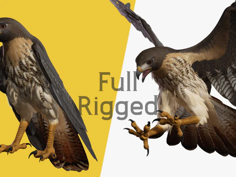 Splendido falco maestoso per gli appassionati di fauna selvatica low-poly Modello 3D