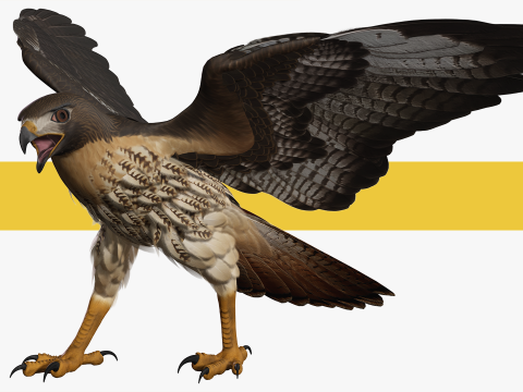 Stunning of a Majestic Falcon Wildlife Enthusiasts Low-poly 3D Model