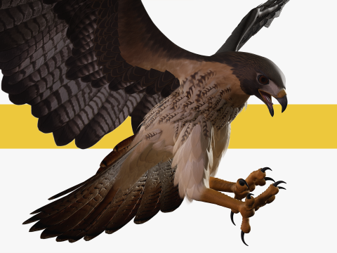 Stunning of a Majestic Falcon Wildlife Enthusiasts Low-poly 3D Model
