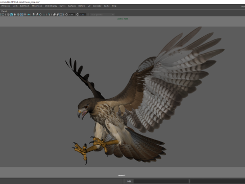 Stunning of a Majestic Falcon Wildlife Enthusiasts Low-poly 3D Model