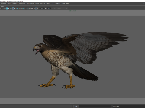Stunning of a Majestic Falcon Wildlife Enthusiasts Low-poly 3D Model