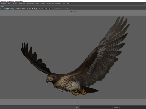 Stunning of a Majestic Falcon Wildlife Enthusiasts Low-poly 3D Model