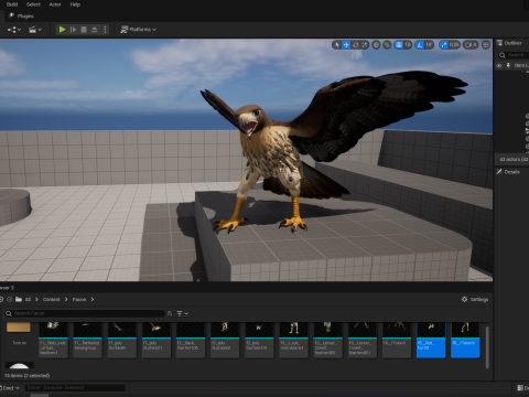 Stunning of a Majestic Falcon Wildlife Enthusiasts Low-poly 3D Model