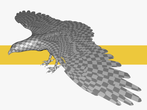 Stunning of a Majestic Falcon Wildlife Enthusiasts Low-poly 3D Model