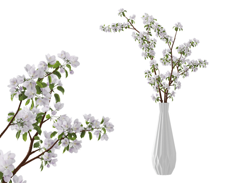 Branches of blossoming apple tree in a vase 3D Modell .c4d .max .obj .3ds .fbx .stl .blend