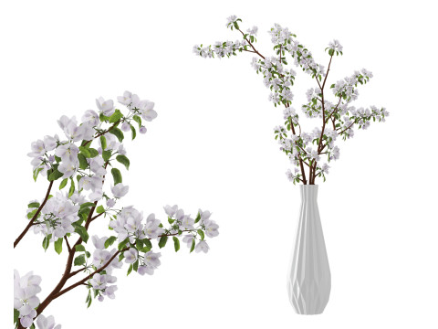 Branches of blossoming apple tree in a vase 3D Modell