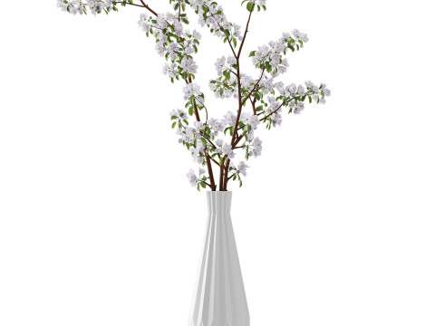 Branches of blossoming apple tree in a vase 3D Modell