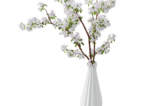 Branches of blossoming apple tree in a vase 3D Modell