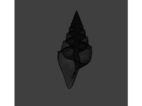 Spiky Shell 3D Model