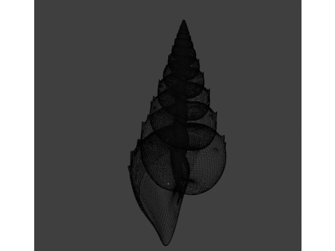 Spiky Shell 3D Model