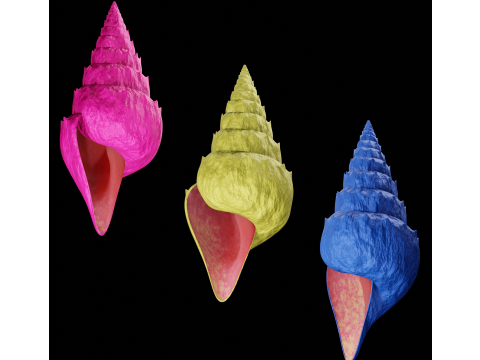 Spiky Shell 3D Model
