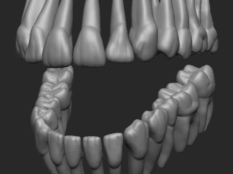 Denti - Dientes Modello di stampa 3D