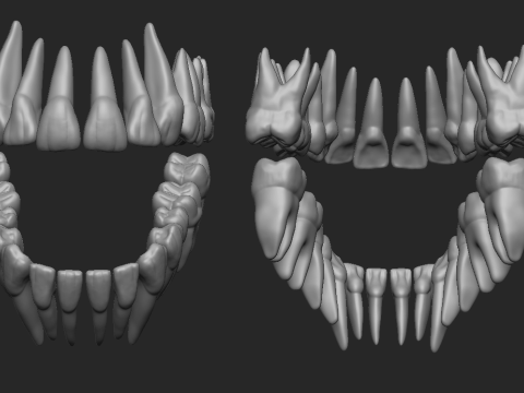 Teeth - Dientes Modèles 3D en vedette