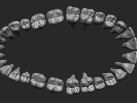Dientes - Dientes Modelo de impresión 3D
