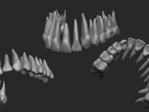 Denti superiori - Dientes superiores Modello di stampa 3D