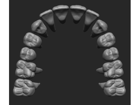 Upper teeth - Dientes superiores 3D Print Model