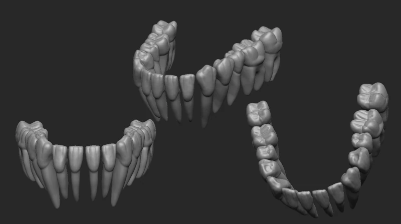 Untere Zähne - Dientes Inferiores 3D Druckmodell .c4d .max .obj .3ds .fbx .stl .blend