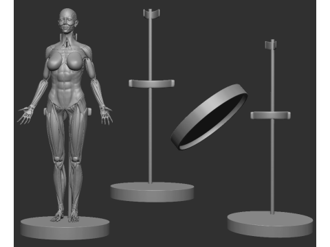 ECORCHE FEMALE - ANATOMIA MUJER 3D Print Model
