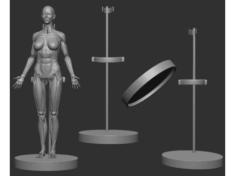 ECORCHE VROUWELIJK - ANATOMIA MUJER 3D printmodel