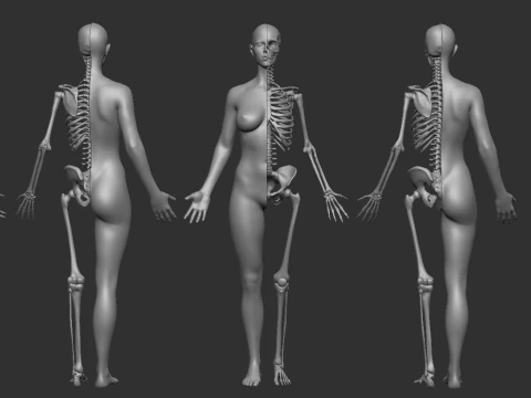 ECORCHE KOBIETA - ANATOMIA MUJER Model do druku 3D