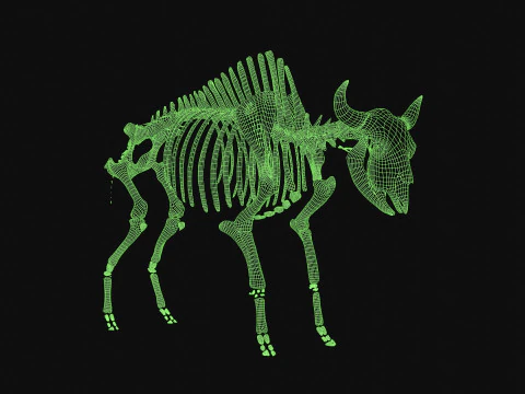 Esqueleto de bisonte Modelo 3D