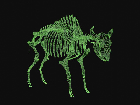 Bison Skeleton 3D Model