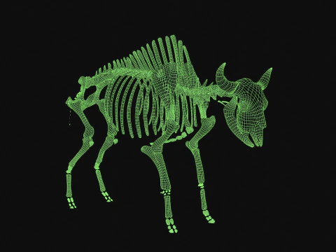 Esqueleto de bisonte Modelo 3D